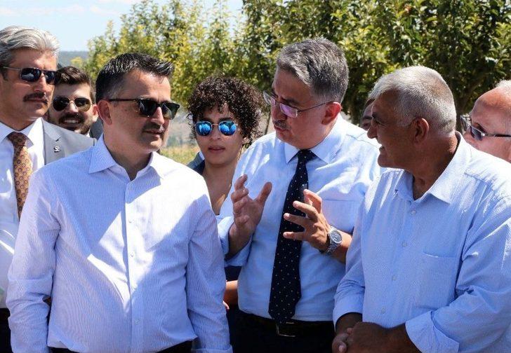 Bakan Pakdemirli, Yozgat’ta Meyve Bahçesini Gezdi G3