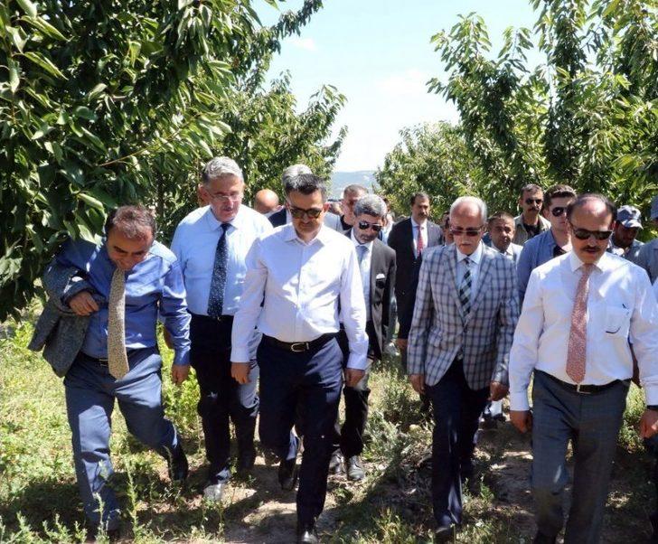Bakan Pakdemirli, Yozgat’ta Meyve Bahçesini Gezdi G5