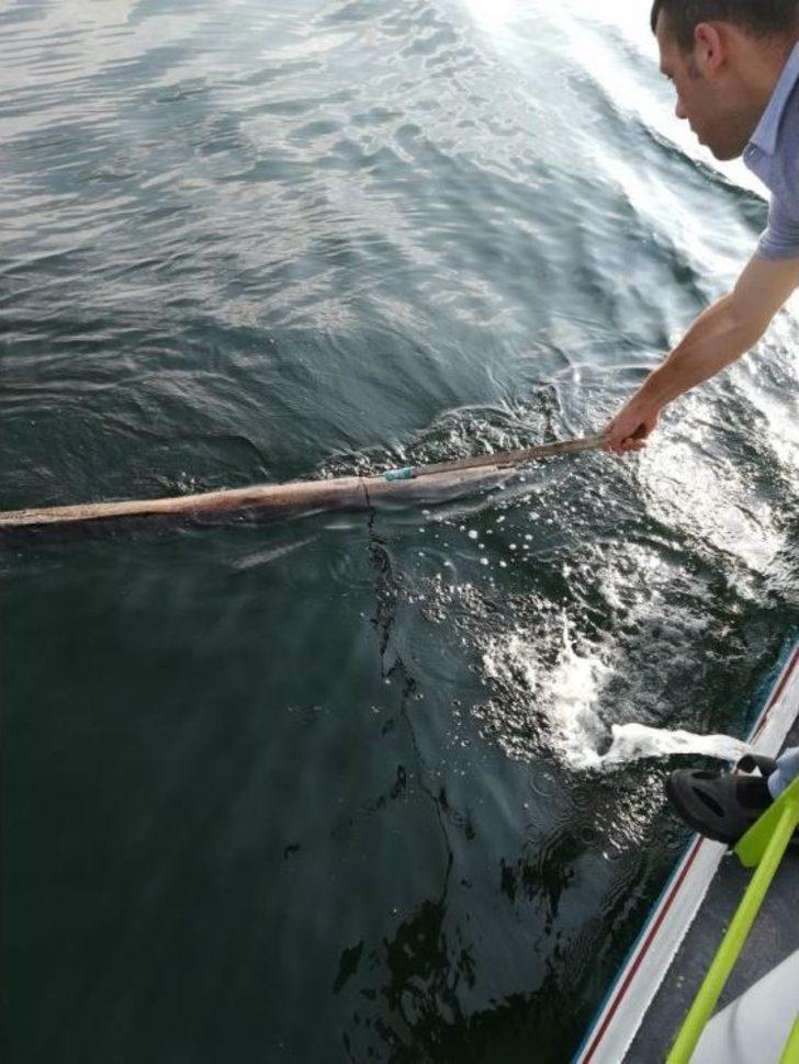 Denizler Ve Sahiller Artık Daha Temiz G2