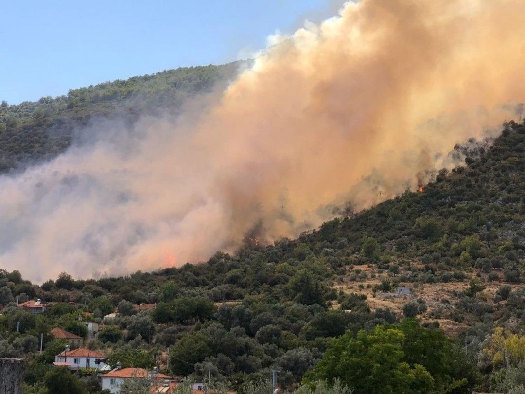 Anızdan Ormana Sı&ccedil;rayan Yangın R&uuml;zgarın Etkisiyle B&uuml;y&uuml;d&uuml;