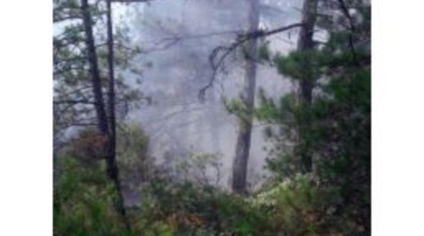 Kastamonu&rsquo;da Orman Yangınını S&ouml;nd&uuml;rme &Ccedil;alışmaları S&uuml;r&uuml;yor