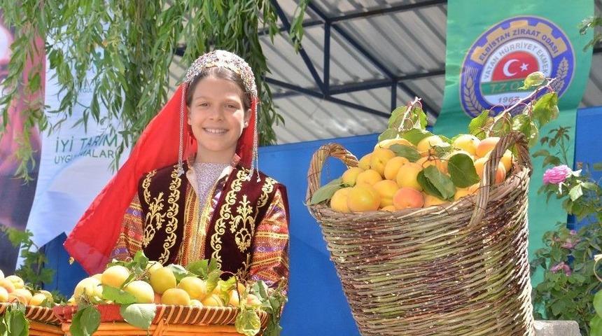 Kahramanmaraş&rsquo;ta Kayısı Tarla G&uuml;n&uuml;