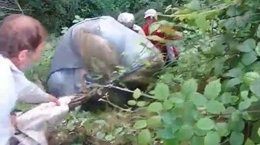 İş&ccedil;iler Yama&ccedil;tan Yuvarlanan &Ccedil;ay Terisi İ&ccedil;in Seferber Oldu