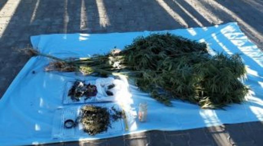 Jandarma Uyuşturucu Satıcılarına G&ouml;z A&ccedil;tırmıyor