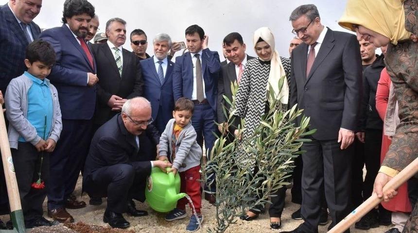 Bakan Elvan, &rsquo;zeytin Dalı Harekatı&rsquo; Şehitleri İ&ccedil;in Fidan Dikti