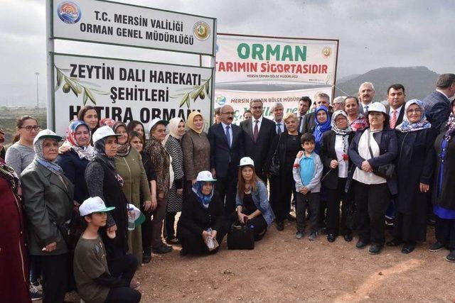 Bakan Elvan, ’zeytin Dalı Harekatı’ Şehitleri İçin Fidan Dikti