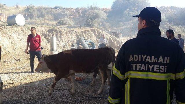 Adıyaman&rsquo;da &Ccedil;iftlikte Yangın 1