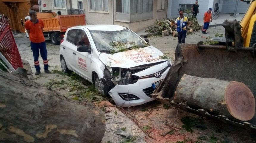 (&ouml;zel) Şiddetli R&uuml;zgar, 400 Yıllık Anıt &Ccedil;ınar Ağacını Aracın &Uuml;st&uuml;ne Devirdi