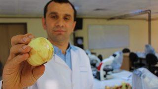 Bu Yaza Damgasını Vuran Soğan Tam Bir Şifa Deposu