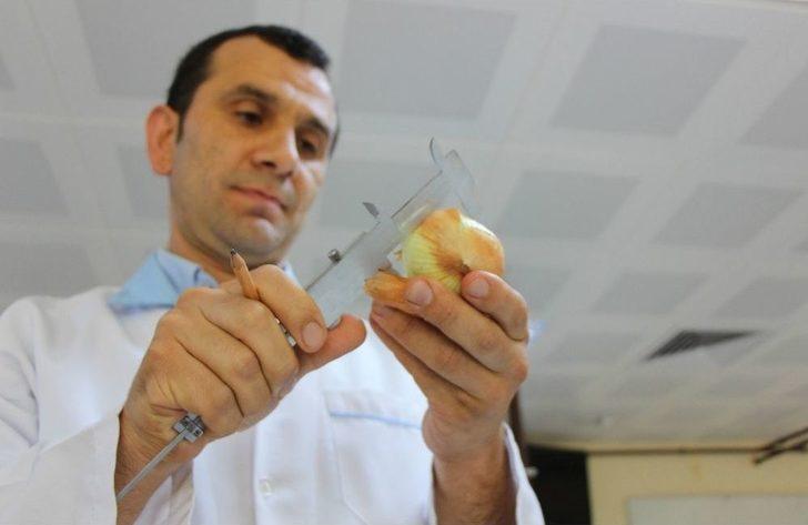 Bu Yaza Damgasını Vuran Soğan Tam Bir Şifa Deposu G4