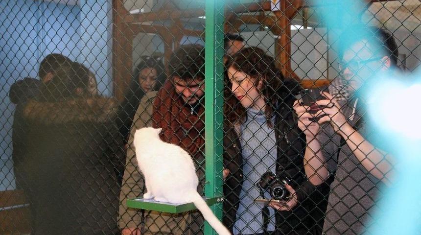 Avrupalı Gen&ccedil;ler Van&rsquo;a Hayran Kaldı