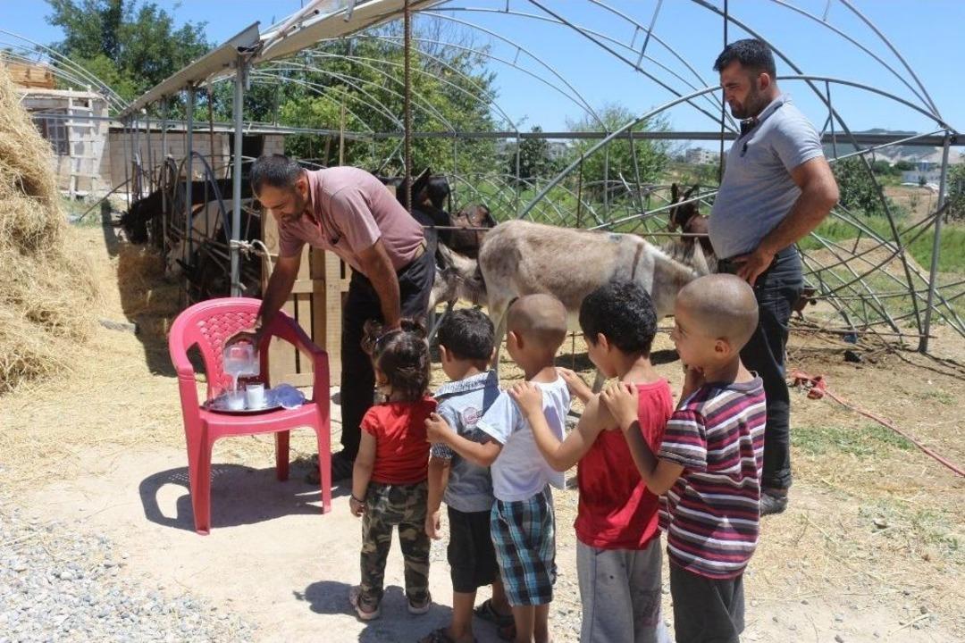(&ouml;zel) Eşek S&uuml;t&uuml; Hem Şifa Hem De Kazan&ccedil; Sağladı