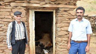 Sıcaktan Sığındıkları Kulübede Telef Oldular