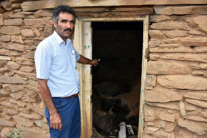 Sıcaktan Sığındıkları Kulübede Telef Oldular G1