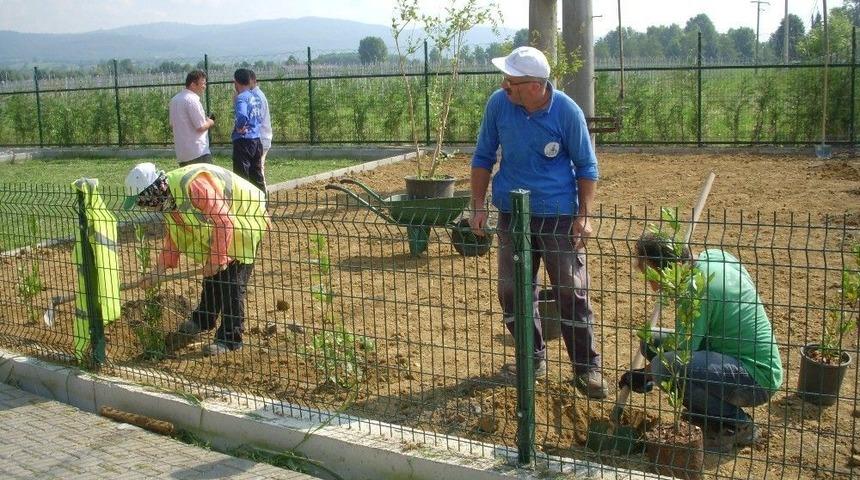 Kartepe Belediyesi Aralıksız Çalışıyor