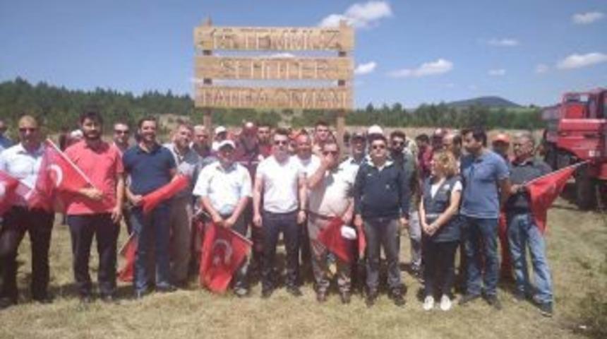 Dumlupınar&rsquo;da 15 Temmuz Hatıra Ormanına 251 Fidan Dikildi