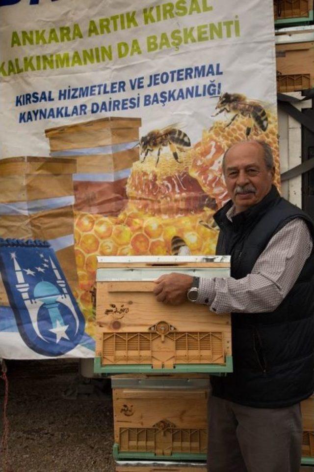 Arıcılık Desteği İ&ccedil;in Son Başvuru Tarihi 9 Mart 2