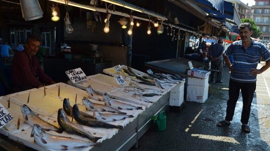 T&uuml;rkiye Bu Sezon Palamuta Doyacak