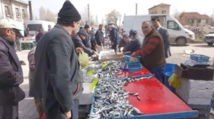 &Ccedil;avdarhisar&rsquo;da Sazanın Kilosu 5 Tl