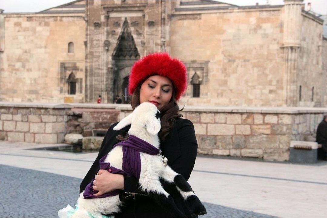 Kuzuyu Evinde &rsquo;bebek&rsquo; Gibi Besliyor