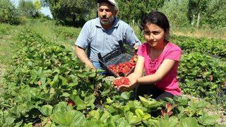 Köylüler Göçmesin Diye Alternatif Ürüne Yönelen Muhtar Örnek Oldu