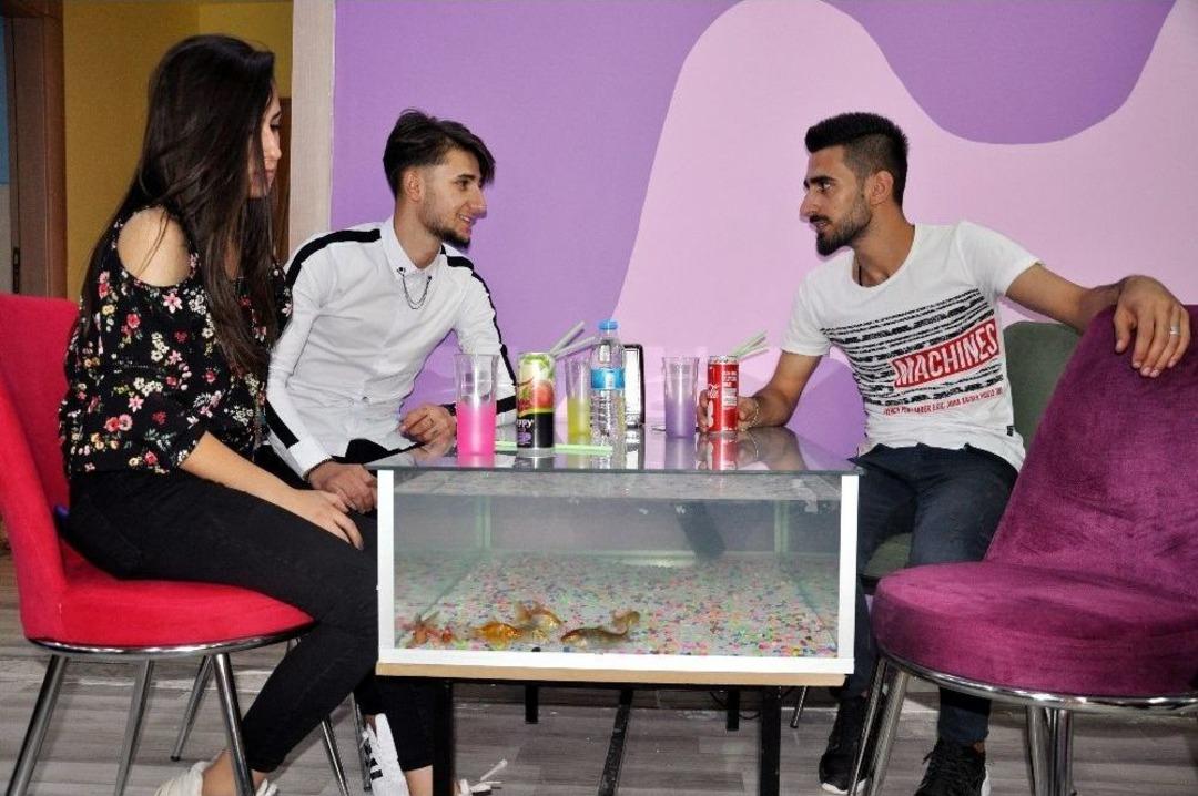 Bu Kafenin M&uuml;şterilerine 300 Canlı Balık Eşlik Ediyor