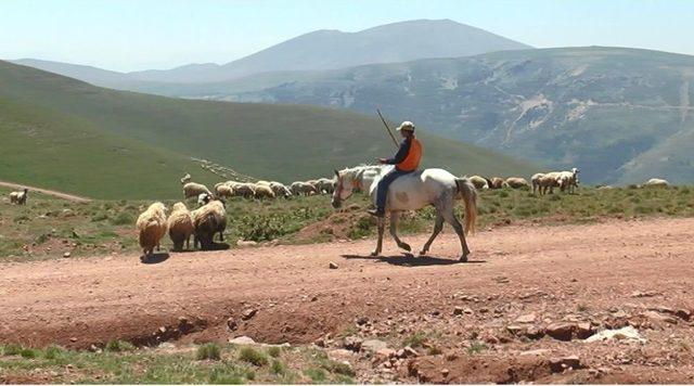 Çobanın Umudu ’kurban Bayramı’