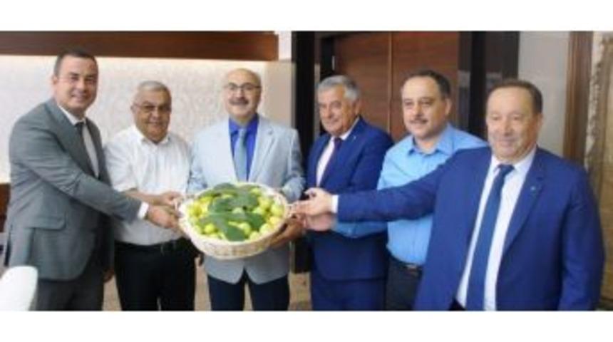 Aydın Ticaret Borsasından İlk Taze Aydın İnciri Vali K&ouml;şger&rsquo;e