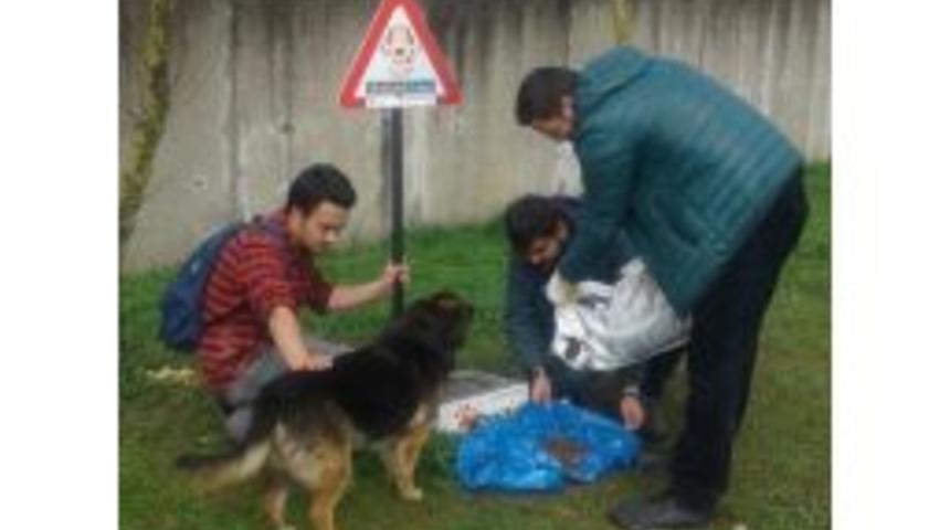 İzmit Belediyesi&rsquo;nden Sokak Hayvanlarına Yiyecek