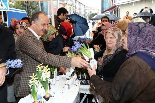 Bağcılar’da Kadınlar Günü’nde 25 Bin Adet Sümbül Dağıtıldı