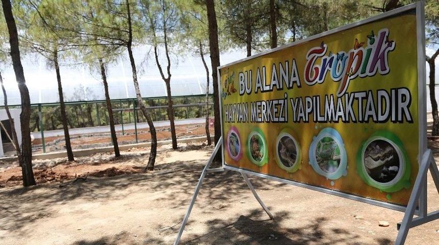 Rengarenk Kelebekler Gaziantep&rsquo;te U&ccedil;acak