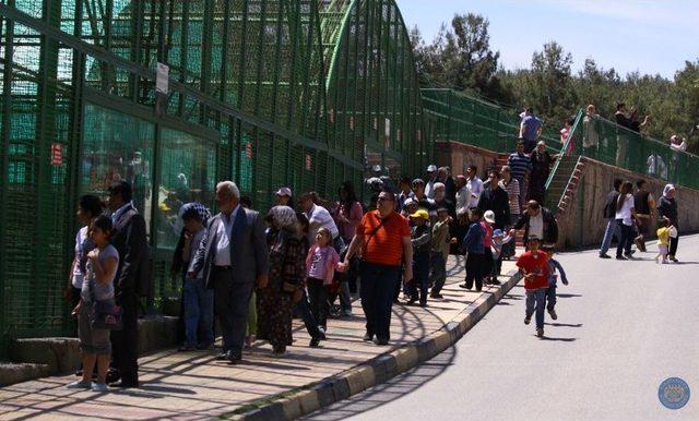 Rengarenk Kelebekler Gaziantep’te Uçacak