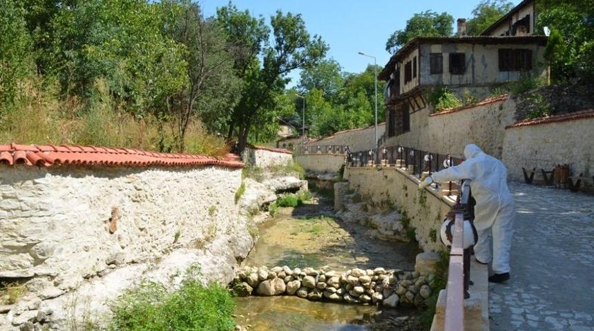 Mahallelerde Yıkama Ve İlaçlama Çalışmaları Sürüyor