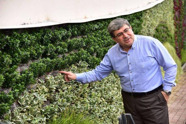 Başkan Can, Dikey Bahçe Projesini Yerinde İnceledi G1