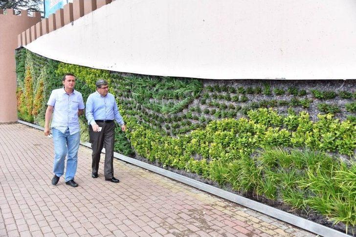 Başkan Can, Dikey Bahçe Projesini Yerinde İnceledi G4