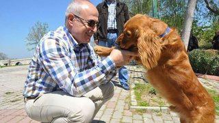 Başkan Akgün: hiçbir Sokak Hayvanı Aç Ve Susuz Kalmayacak