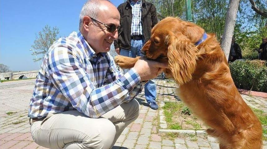 Başkan Akgün: "hiçbir Sokak Hayvanı Aç Ve Susuz Kalmayacak"