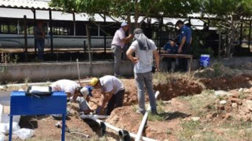 Akdeniz &Uuml;niversitesinde Vana Hırsızlığı