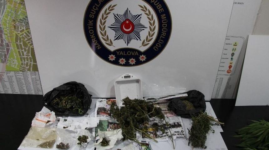 Evini Uyuşturucu Serasına Çevirdi