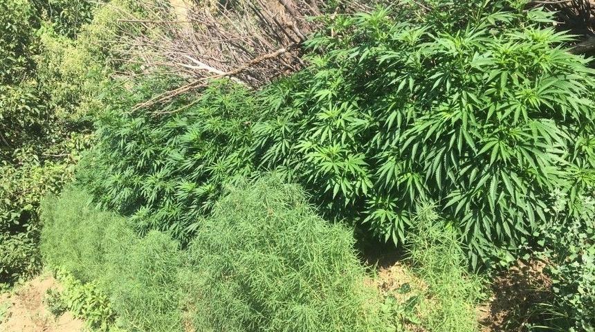 Sason Emniyeti Uyuşturucu Tacirlerine G&ouml;z A&ccedil;tırmıyor