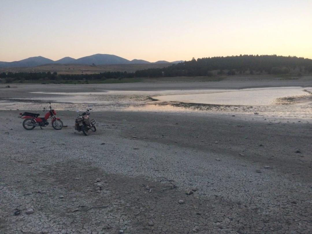 G&uuml;ny&uuml;z&uuml; Barajı Kurudu, Balıklar Karaya Vurdu