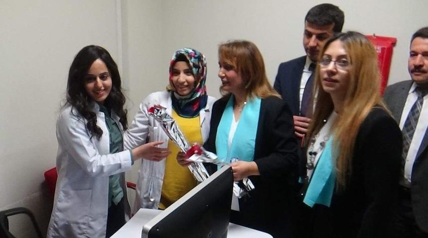 Siirt’te Kadın Sağlık Çalışanlarına Karanfil Dağıtıldı