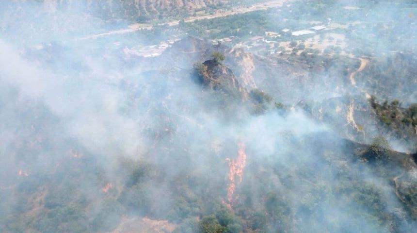 Ziraat Alanında Başlayan Yangın Ormana Sı&ccedil;radı