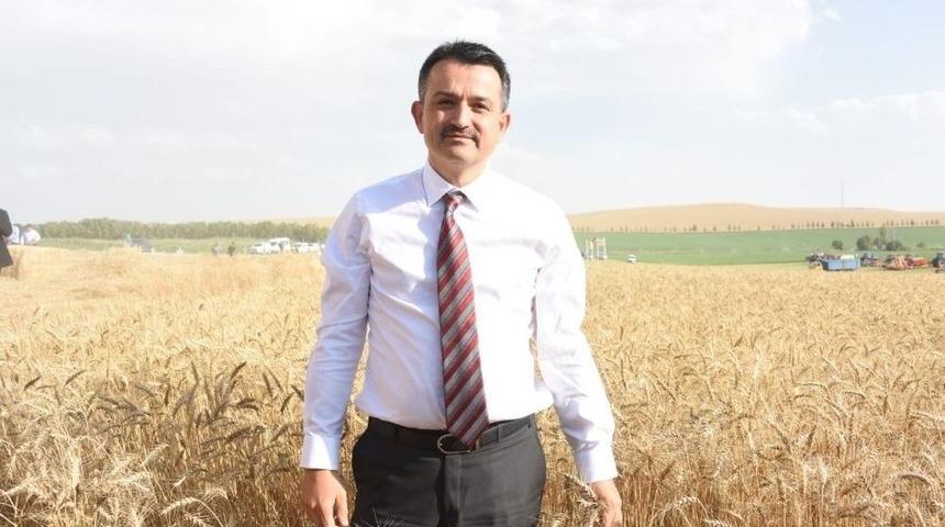 Tarım Bakanı Pakdemirli: "fiyatlar &Uuml;reticimizi Memnun Ediyor"