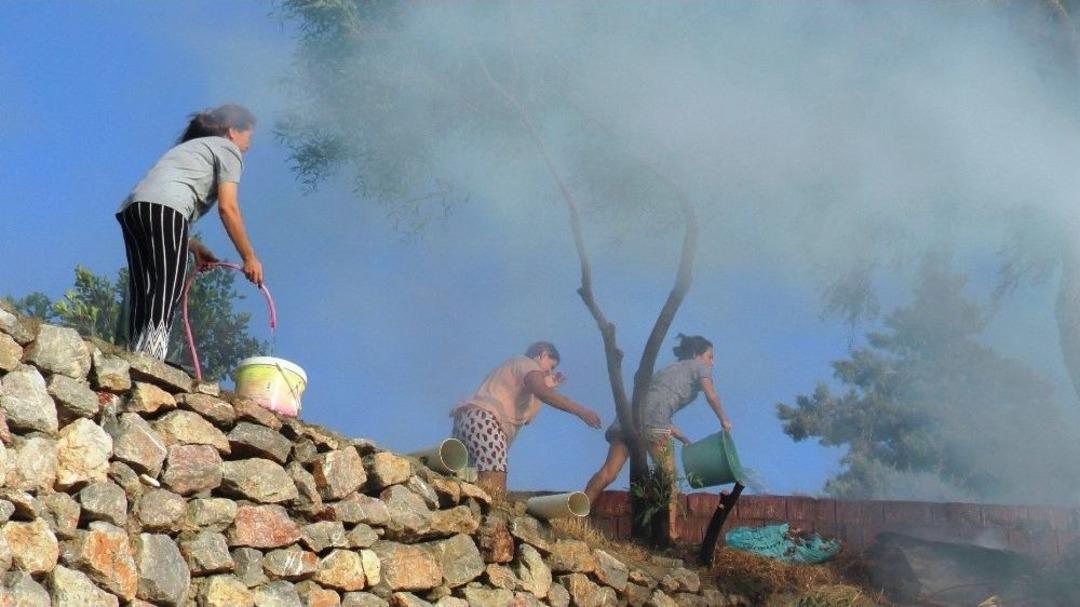 Bodrum&rsquo;da &Ccedil;ıkan Yangın Otele Sı&ccedil;ramadan S&ouml;nd&uuml;r&uuml;ld&uuml;