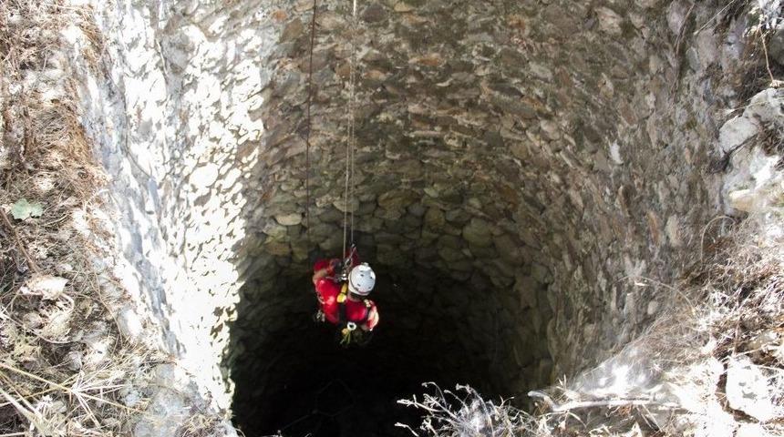 12 Metrelik Kuyuya Düşen Kediyi Akut Kurtardı