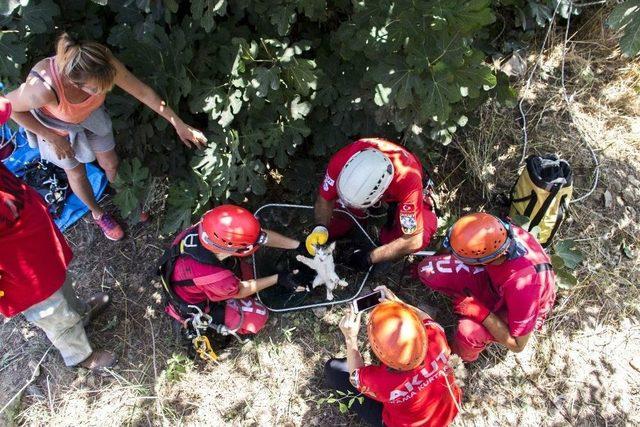 12 Metrelik Kuyuya Düşen Kediyi Akut Kurtardı