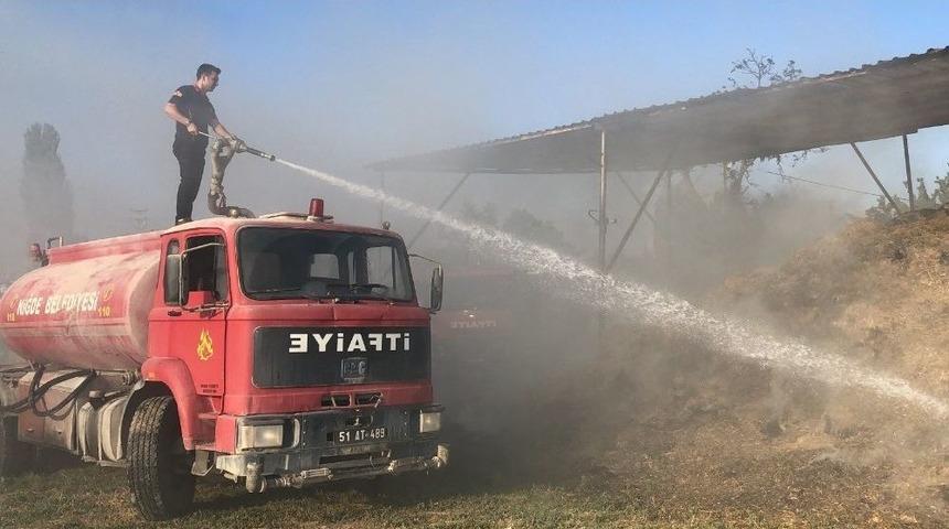 Saman Balyaları K&uuml;l Oldu