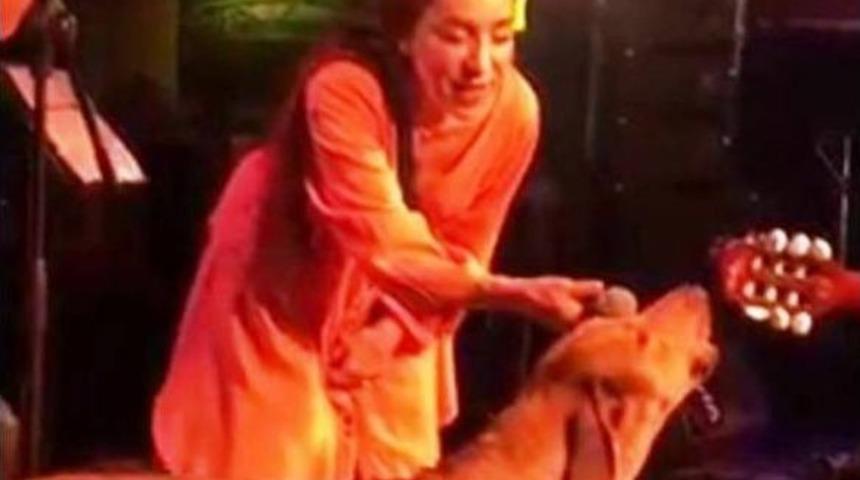 Leman Sam Şarkı S&ouml;ylerken Sokak K&ouml;peği Sahneye Fırladı