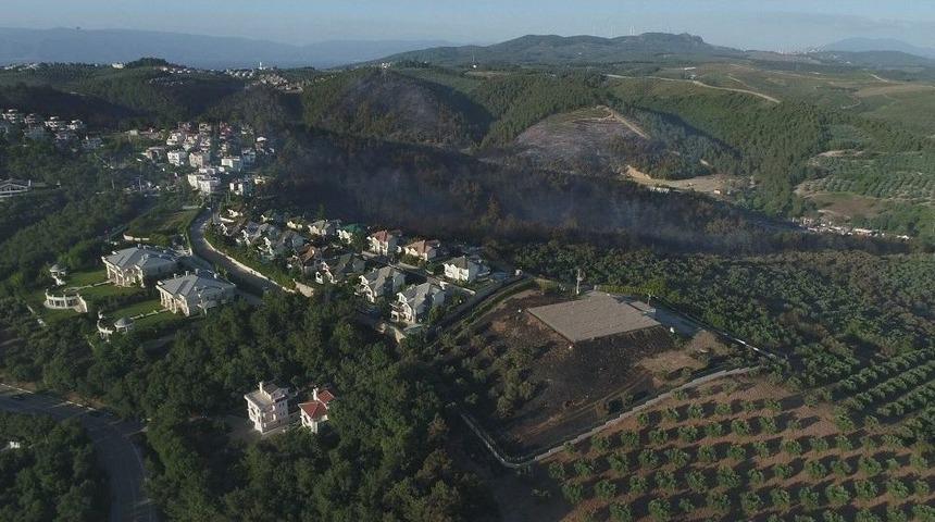 Bursa’da 20 Hektarlık Alan Kül Oldu Soğutma Çalışmaları Devam Ediyor